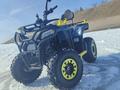 Yamaha  Grizzly 300 2024 года за 500 000 тг. в Алматы – фото 20