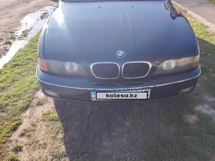BMW 528 1997 года за 3 000 000 тг. в Шымкент – фото 2