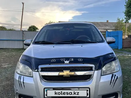 Chevrolet Aveo 2011 года за 3 800 000 тг. в Кокшетау