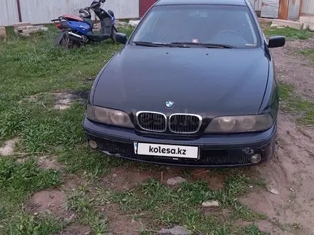 BMW 523 1996 года за 2 800 000 тг. в Алматы – фото 4
