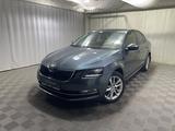 Skoda Octavia 2019 года за 8 700 000 тг. в Алматы