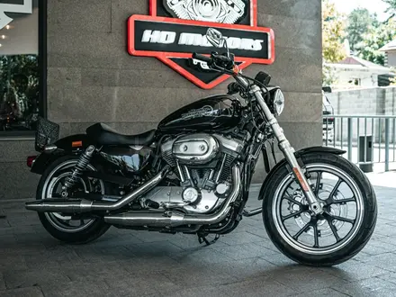 Harley-Davidson  Sportster 883 2020 года за 5 500 000 тг. в Алматы – фото 11