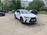 Lexus NX 250 2023 года за 21 000 000 тг. в Астана – фото 2
