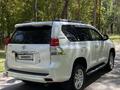 Toyota Land Cruiser Prado 2010 годаfor14 200 000 тг. в Алматы – фото 9