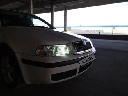 Skoda Octavia 2005 года за 3 200 000 тг. в Актобе – фото 6