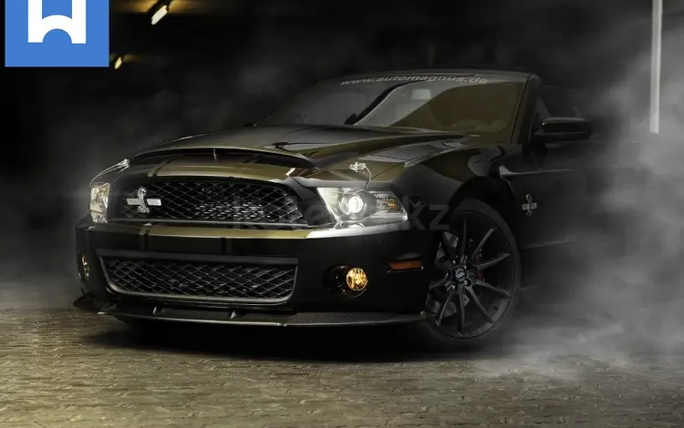 WEENEX в Алматы