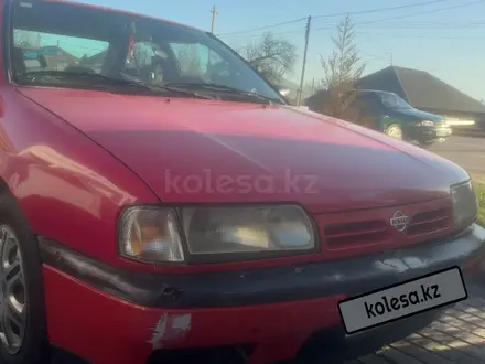 Nissan Primera 1991 года за 800 000 тг. в Шымкент – фото 8