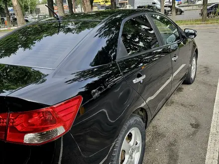 Kia Cerato 2010 года за 4 200 000 тг. в Алматы – фото 4