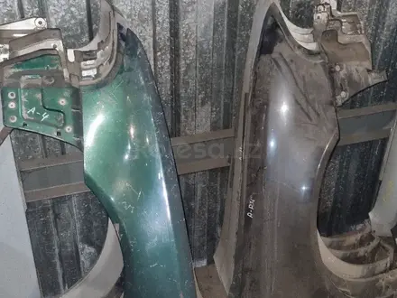 Крылья за 20 000 тг. в Караганда