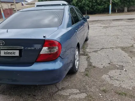 Toyota Camry 2002 года за 4 300 000 тг. в Тараз – фото 10