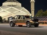 Ford F-Series 2004 года за 18 800 000 тг. в Астана