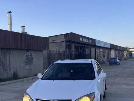 Toyota Camry 2004 года за 5 200 000 тг. в Шымкент – фото 2