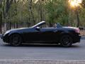 Mercedes-Benz SLK 280 2007 года за 6 500 000 тг. в Алматы – фото 27