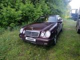 Mercedes-Benz E 200 1996 годаүшін1 500 000 тг. в Петропавловск – фото 2