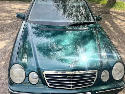 Mercedes-Benz E 55 AMG 2001 года за 5 500 000 тг. в Алматы – фото 3