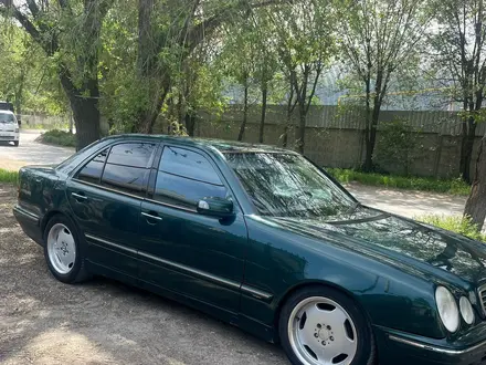 Mercedes-Benz E 55 AMG 2001 года за 5 500 000 тг. в Алматы – фото 6