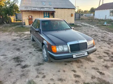 Mercedes-Benz E 230 1991 года за 1 470 000 тг. в Алматы