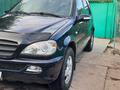 Mercedes-Benz ML 320 2001 года за 4 500 000 тг. в Шу – фото 3