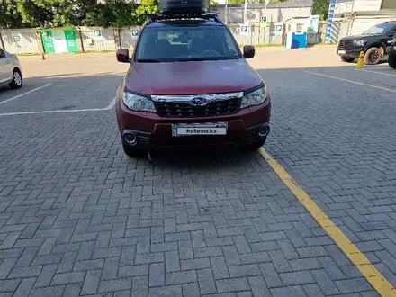 Subaru Forester 2008 года за 6 300 000 тг. в Алматы – фото 9