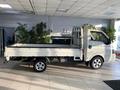 JAC  JAC N35 (X200) 2025 годаүшін10 800 000 тг. в Алматы – фото 4
