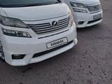 Toyota Alphard 2010 года за 11 700 000 тг. в Алматы