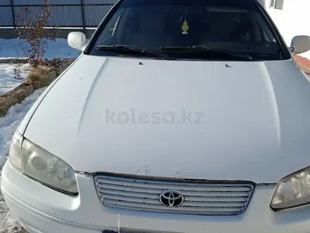 Toyota Camry 2001 года за 3 300 000 тг. в Талдыкорган – фото 18