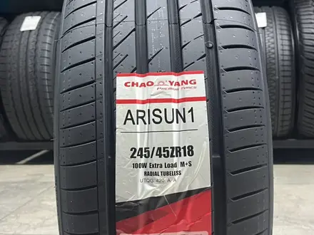 245/45R18 Z CHAOYANG ARISUN 1 TL XL 100W ЛТүшін30 000 тг. в Алматы