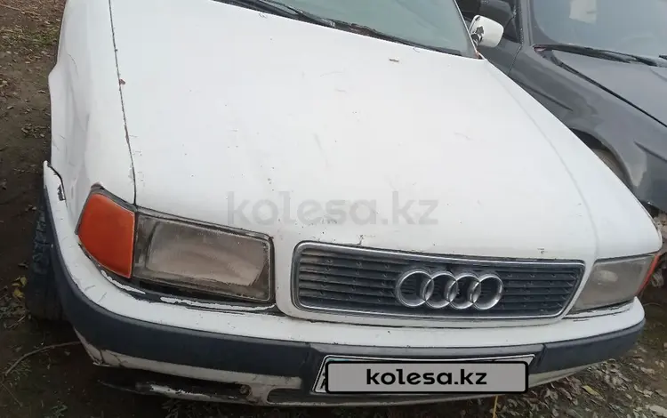 Audi 80 1993 года за 500 000 тг. в Шу