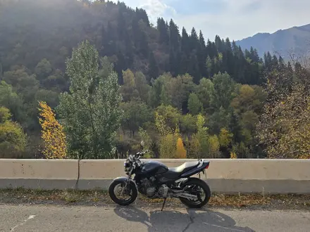 Honda  CB 600F (Hornet) 2002 года за 2 000 000 тг. в Алматы – фото 2