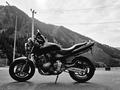 Honda  CB 600F (Hornet) 2002 годаүшін2 000 000 тг. в Алматы – фото 9