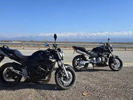 Honda  CB 600F (Hornet) 2002 года за 2 000 000 тг. в Алматы – фото 7