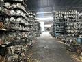 ДВИГАТЕЛЬ НА FSZE,LF,L3,H22,H23,F22,F23,B20B,G20A,G25A,EJ25D,MR20 за 255 600 тг. в Алматы – фото 5