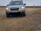 Subaru Forester 2014 года за 5 300 000 тг. в Актау – фото 3