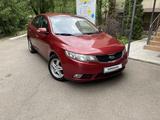 Kia Cerato 2010 года за 5 300 000 тг. в Алматы