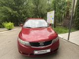 Kia Cerato 2010 года за 5 300 000 тг. в Алматы – фото 5