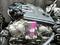 Двигатель VQ35 Nissan Teana J32 за 400 000 тг. в Алматы