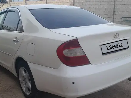 Toyota Camry 2004 года за 3 300 000 тг. в Шымкент – фото 4