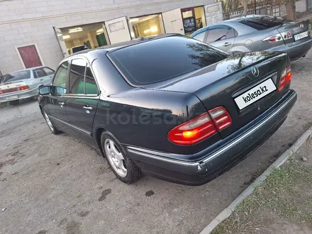 Mercedes-Benz E 240 2001 годаүшін4 300 000 тг. в Павлодар – фото 6