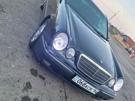 Mercedes-Benz E 240 2001 годаүшін4 300 000 тг. в Павлодар – фото 10