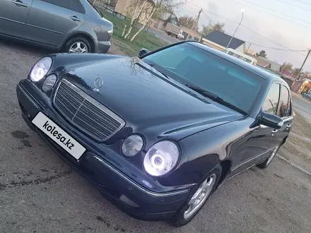 Mercedes-Benz E 240 2001 годаүшін4 300 000 тг. в Павлодар – фото 11