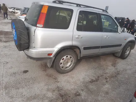 Honda CR-V 1999 года за 3 200 000 тг. в Жанатас – фото 5