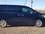 Toyota Alphard 2012 года за 10 500 000 тг. в Шиели – фото 3