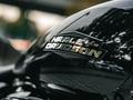 Harley-Davidson  Street Glide 2025 года за 25 500 000 тг. в Алматы – фото 8