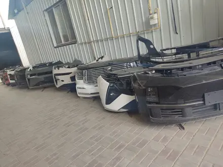 Ноускат за 100 100 тг. в Астана – фото 3