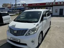 Toyota Alphard, 2010