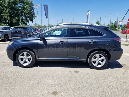 Lexus RX 350 2010 года за 8 790 000 тг. в Талдыкорган – фото 8