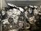 ДВИГАТЕЛИ 2GR-FE TOYOTA, LEXUS ДВС и АКПП (2AZ/2AR/1MZ/3MZ/2GR/3GR/4GR/VQ35 за 88 000 тг. в Алматы