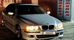 BMW 525 2002 годаүшін5 500 000 тг. в Шымкент – фото 3