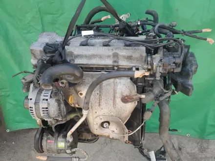 Двигатель Nissan KA24 F за 365 000 тг. в Алматы