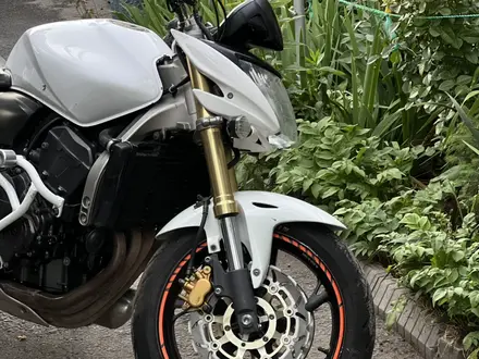 Honda  CB 600F (Hornet) 2007 года за 2 900 000 тг. в Алматы – фото 4